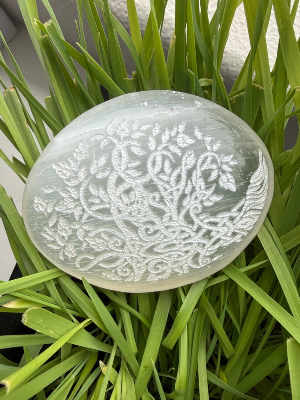 “Tree Of Life” Etched Selenite Palm Stone 🤍